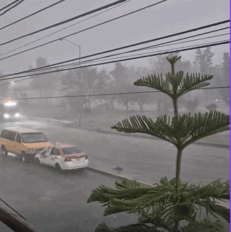 Activan Alerta Amarilla por fuertes vientos en seis alcaldías de CDMX